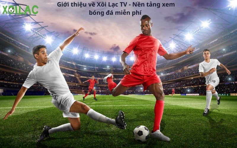 Cập nhật thông tin trực tiếp bóng đá hôm nay trên Xoilac TV